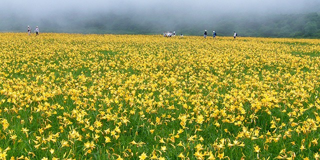 雄国沼