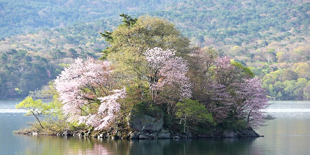 桜島　イメージ